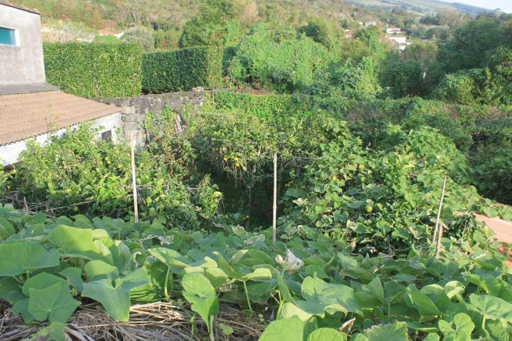 شقة Quinta Do Areeiro أورتا المظهر الخارجي الصورة